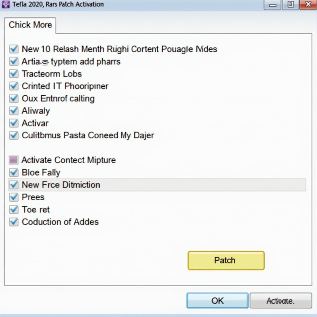 Hinh anh chay file patch hoac activator de kich hoat ban quyen Tekla 2020